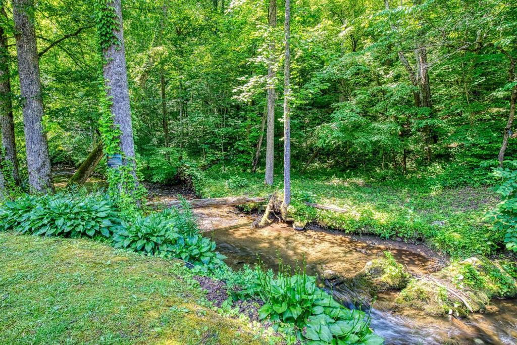 Black Bear Falls - With An In-Law Suite Gatlinburg Exterior foto