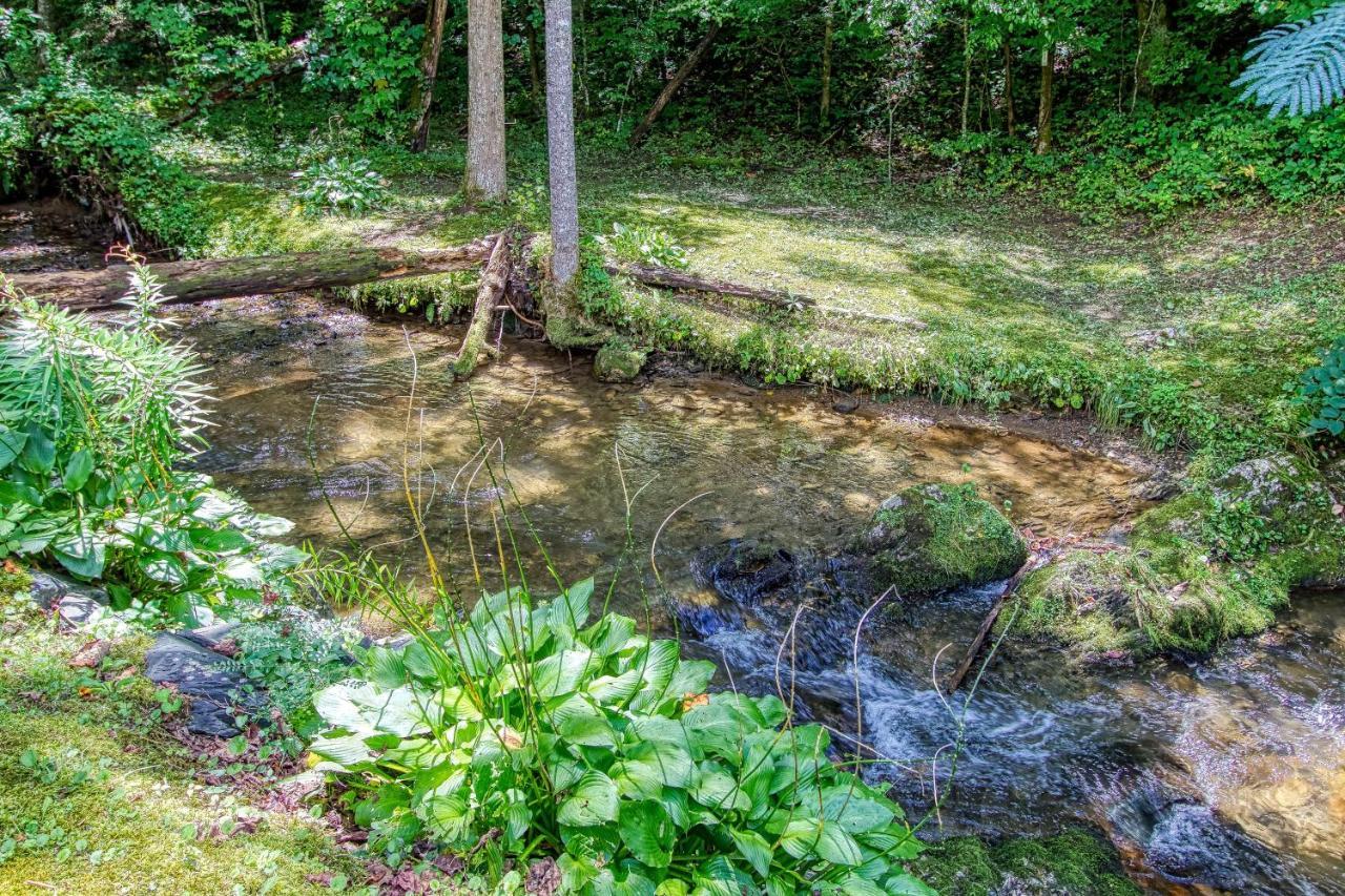 Black Bear Falls - With An In-Law Suite Gatlinburg Exterior foto